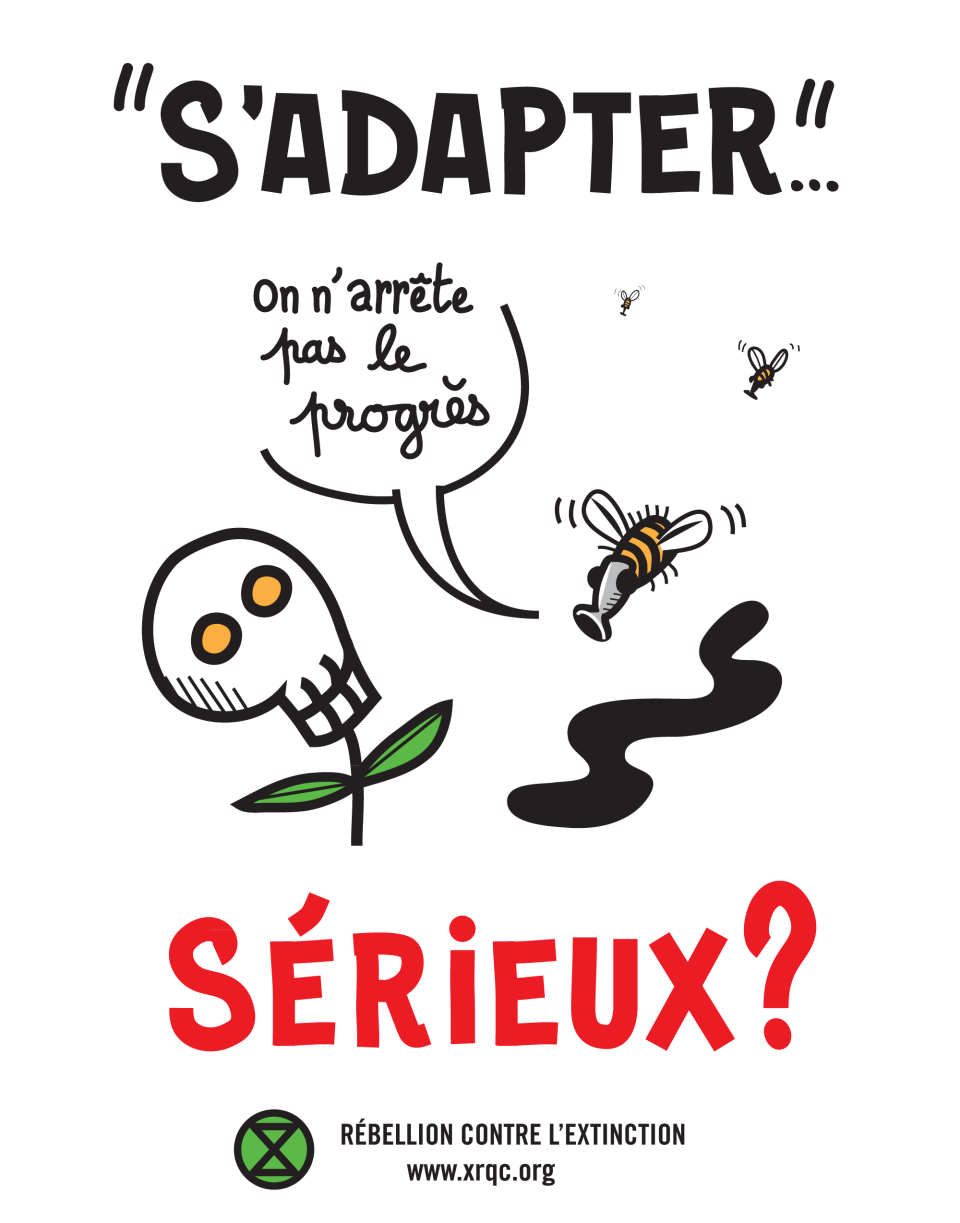 2019-05-08-adaptation
